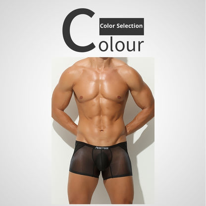 Men's Underwear Men's Seamless Ice Silk Plus Size Boxer